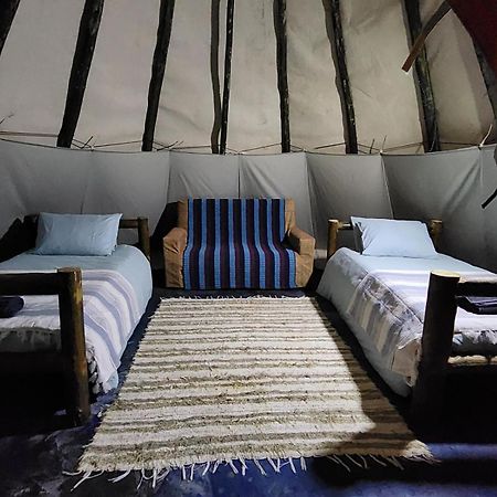 Tsitsikamma Wolf Sanctuary Eco Cabins & Teepees Stormsrivier Extérieur photo