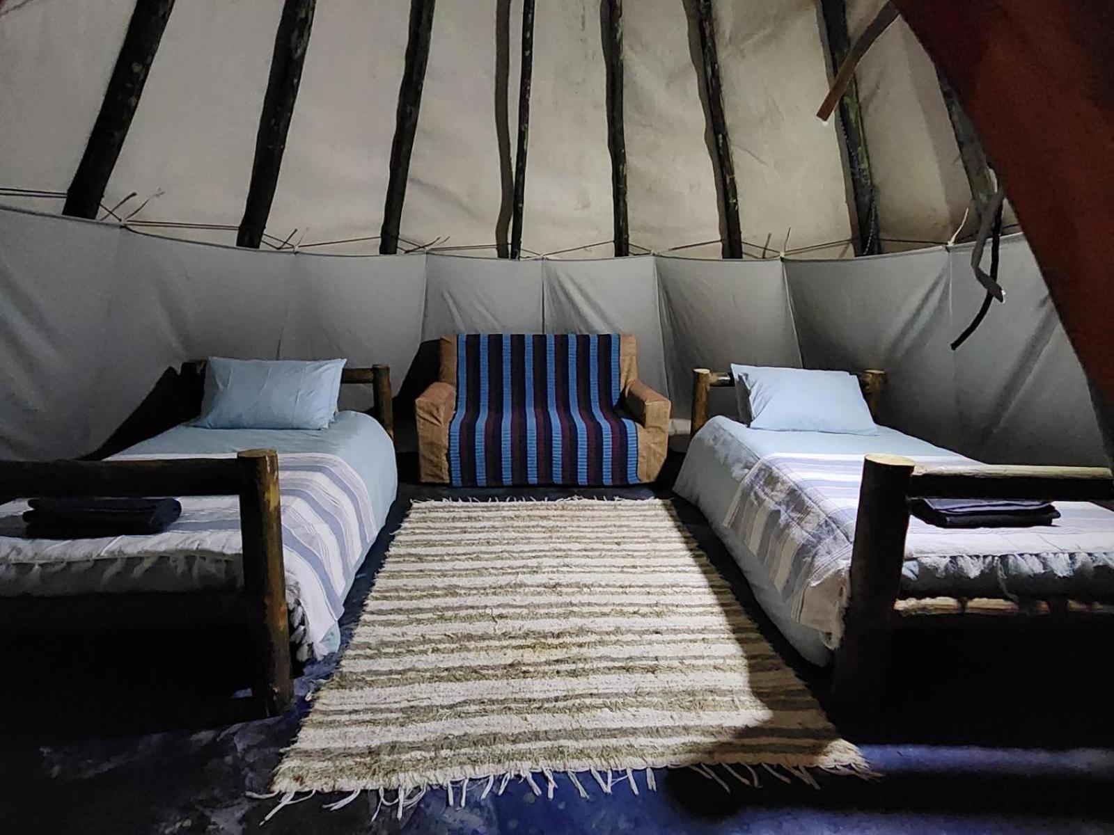 Tsitsikamma Wolf Sanctuary Eco Cabins & Teepees Stormsrivier Extérieur photo