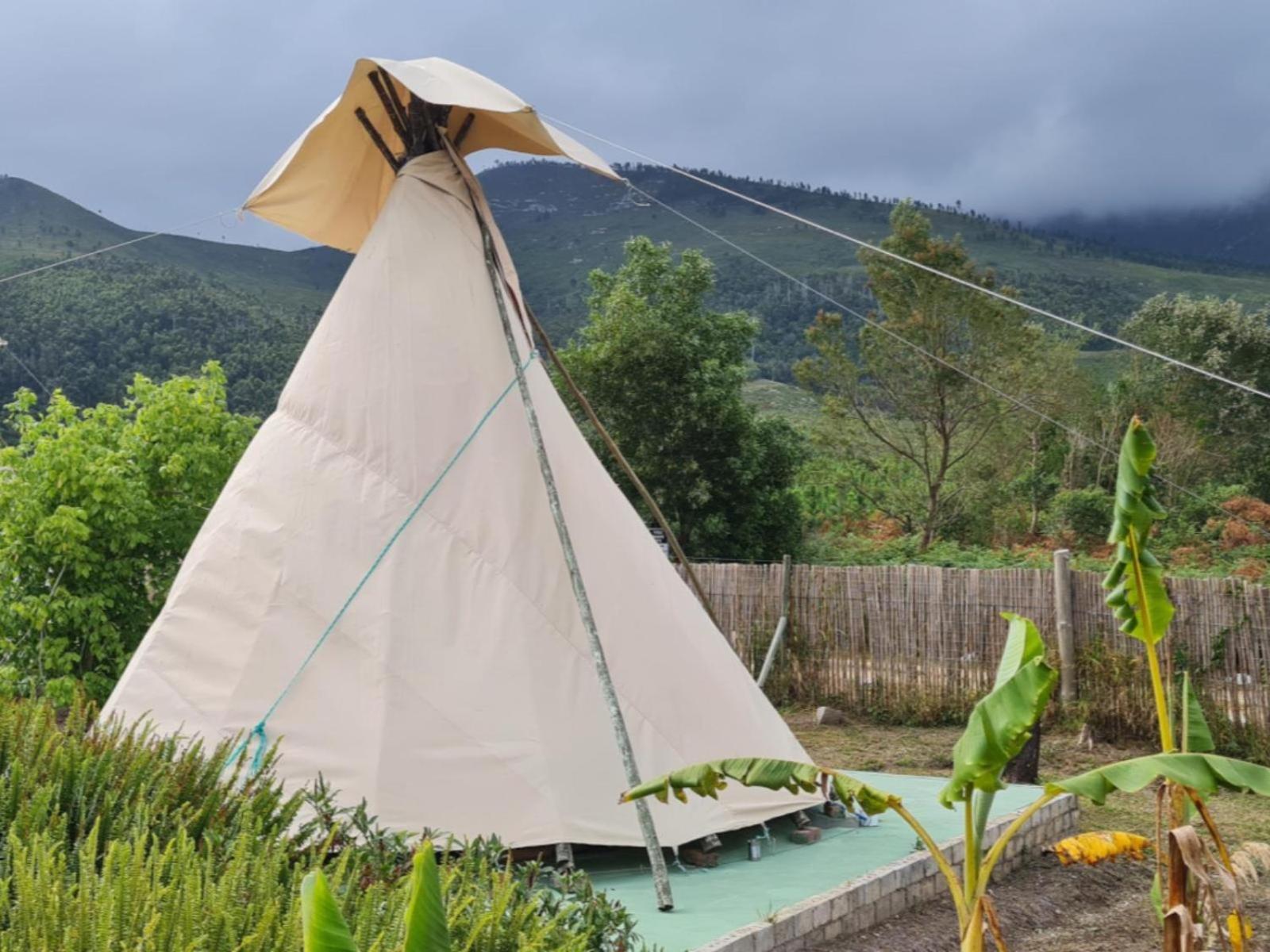 Tsitsikamma Wolf Sanctuary Eco Cabins & Teepees Stormsrivier Extérieur photo