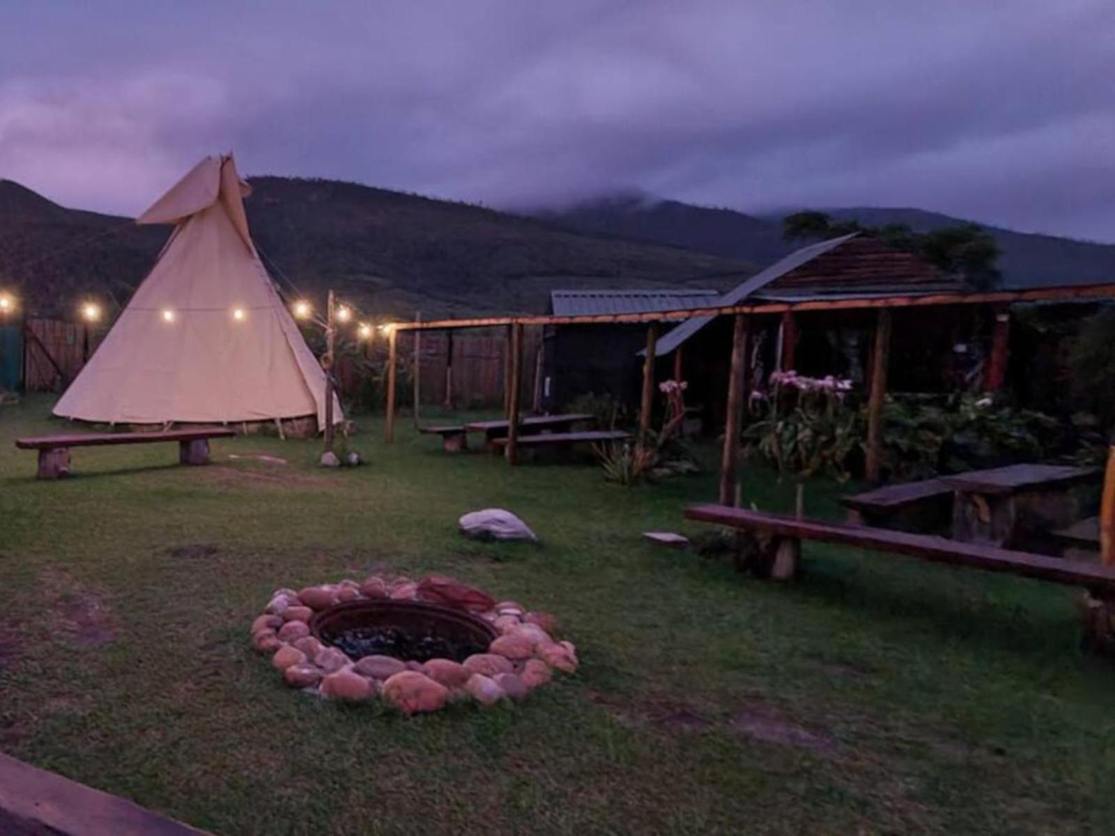 Tsitsikamma Wolf Sanctuary Eco Cabins & Teepees Stormsrivier Extérieur photo