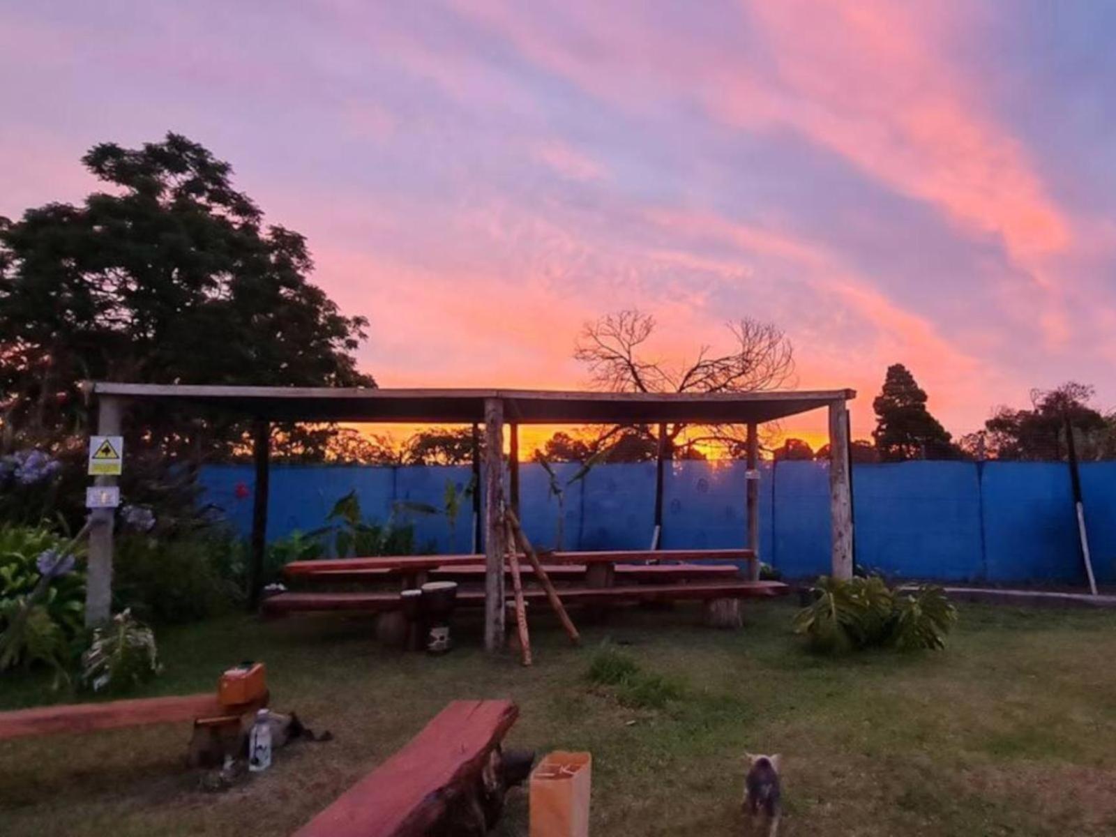 Tsitsikamma Wolf Sanctuary Eco Cabins & Teepees Stormsrivier Extérieur photo