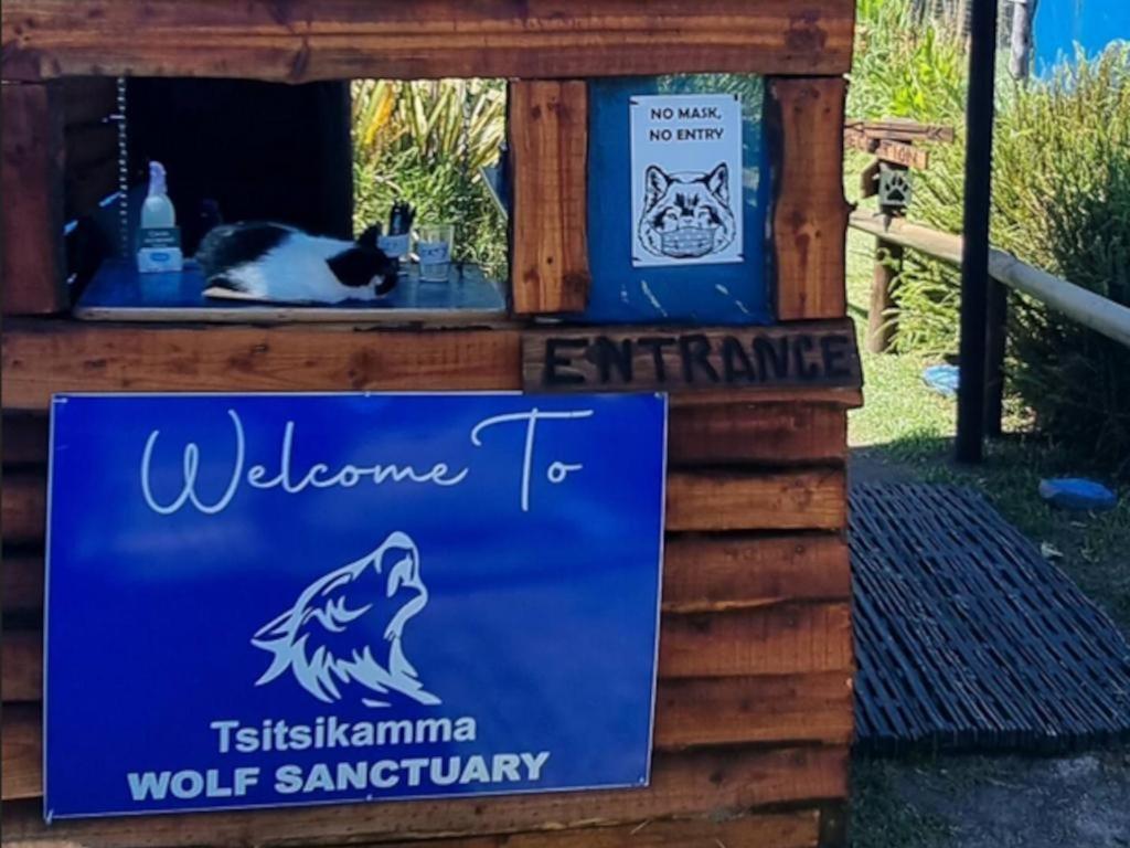 Tsitsikamma Wolf Sanctuary Eco Cabins & Teepees Stormsrivier Extérieur photo