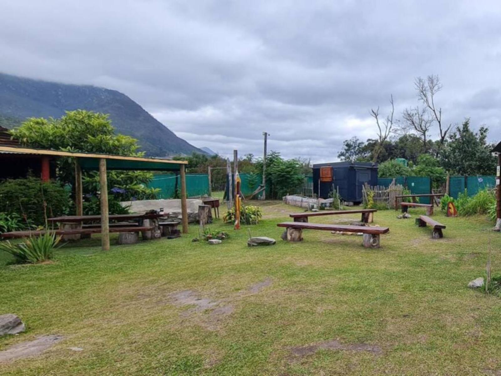 Tsitsikamma Wolf Sanctuary Eco Cabins & Teepees Stormsrivier Extérieur photo