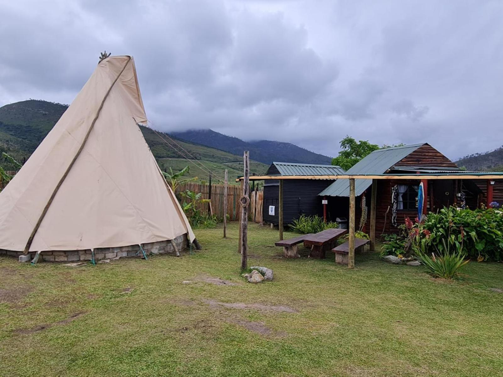 Tsitsikamma Wolf Sanctuary Eco Cabins & Teepees Stormsrivier Extérieur photo