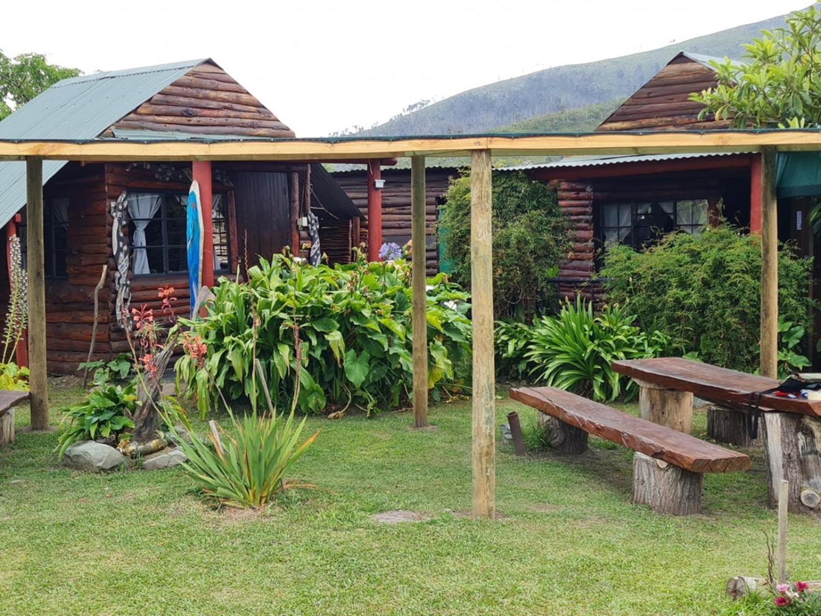 Tsitsikamma Wolf Sanctuary Eco Cabins & Teepees Stormsrivier Extérieur photo