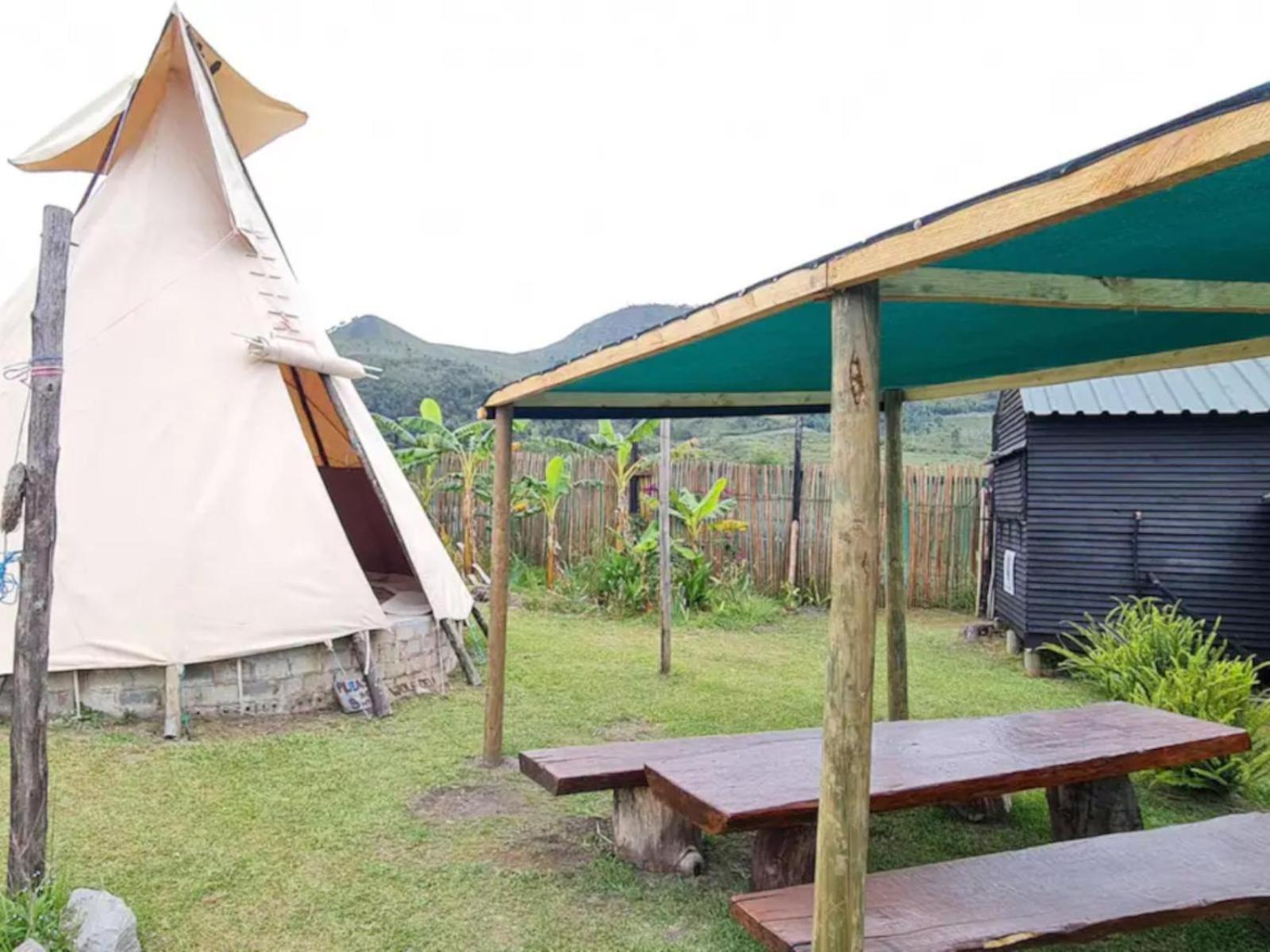 Tsitsikamma Wolf Sanctuary Eco Cabins & Teepees Stormsrivier Extérieur photo