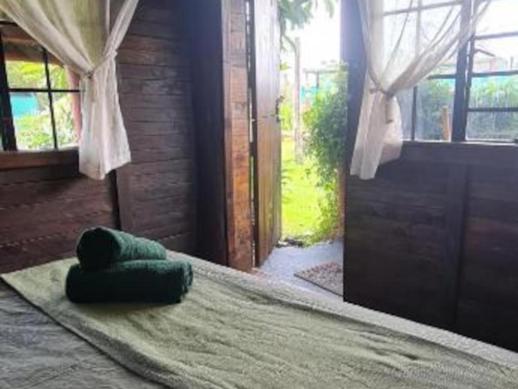 Tsitsikamma Wolf Sanctuary Eco Cabins & Teepees Stormsrivier Chambre photo