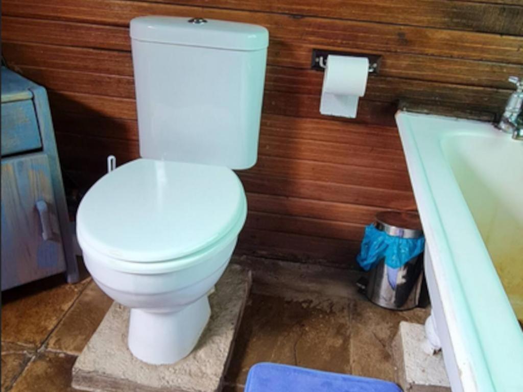 Tsitsikamma Wolf Sanctuary Eco Cabins & Teepees Stormsrivier Chambre photo