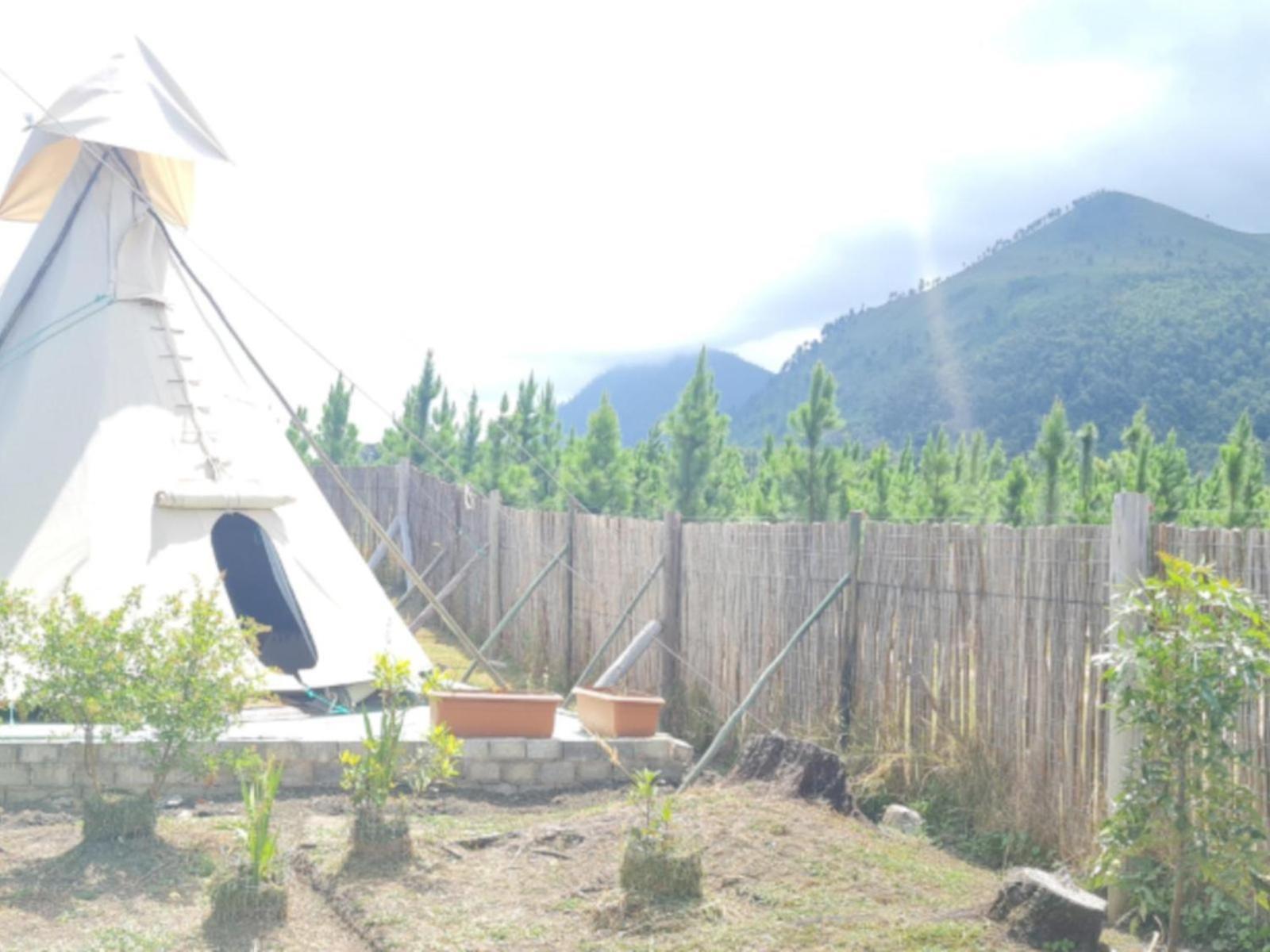 Tsitsikamma Wolf Sanctuary Eco Cabins & Teepees Stormsrivier Chambre photo