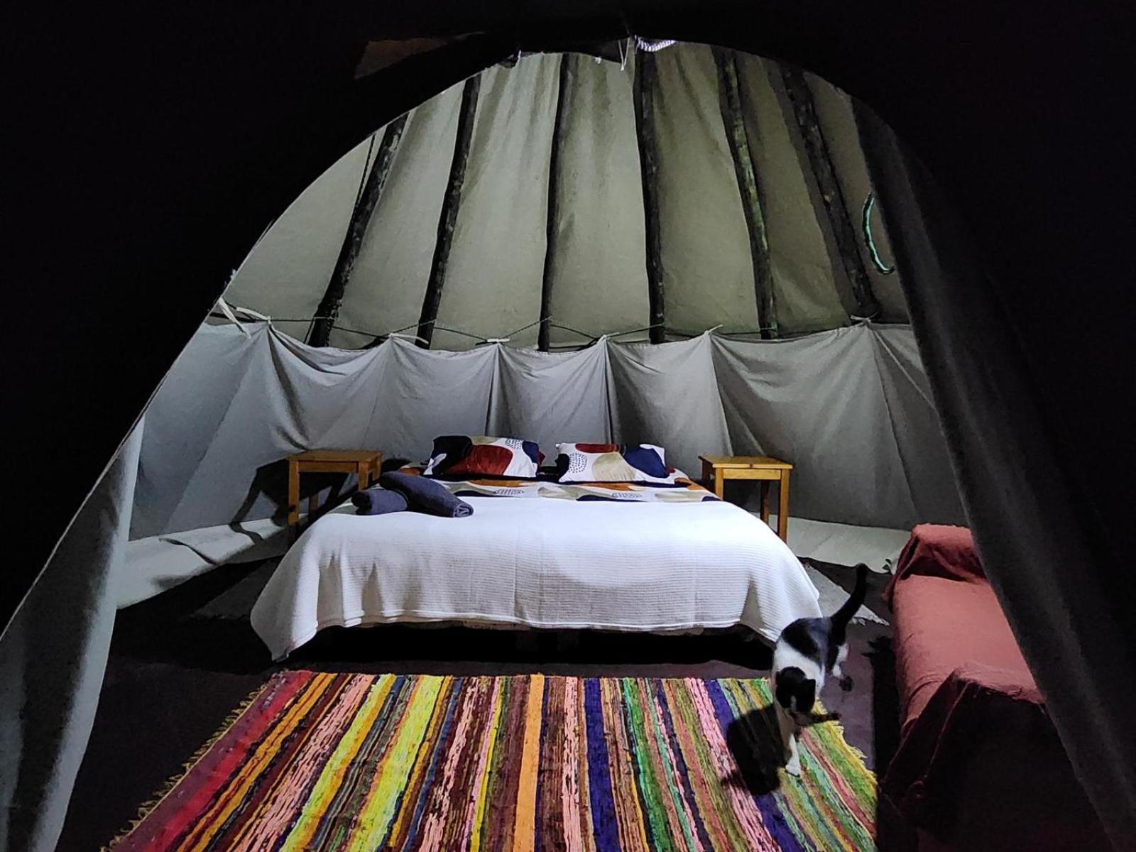 Tsitsikamma Wolf Sanctuary Eco Cabins & Teepees Stormsrivier Chambre photo
