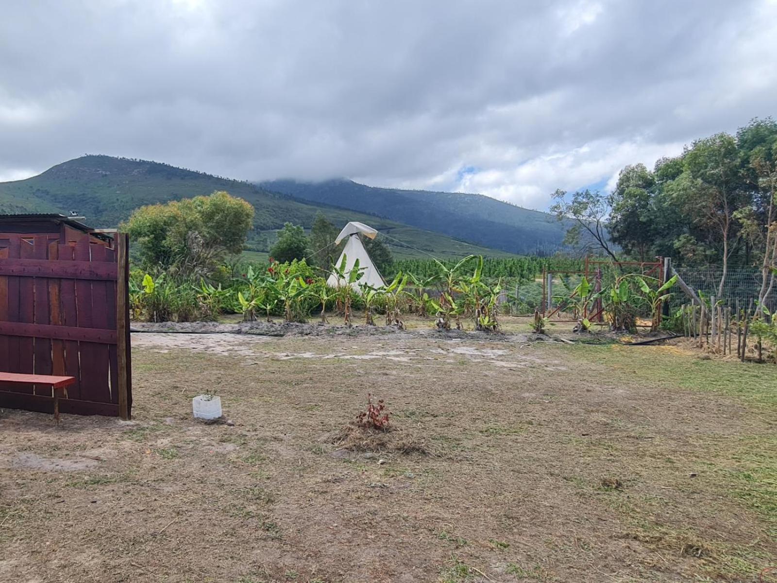 Tsitsikamma Wolf Sanctuary Eco Cabins & Teepees Stormsrivier Chambre photo